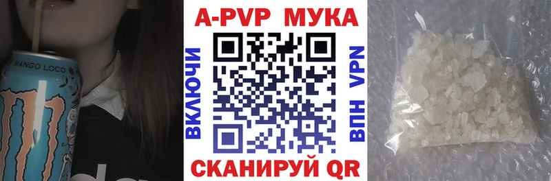 shop как зайти  Пустошка  А ПВП крисы CK 